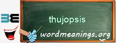 WordMeaning blackboard for thujopsis